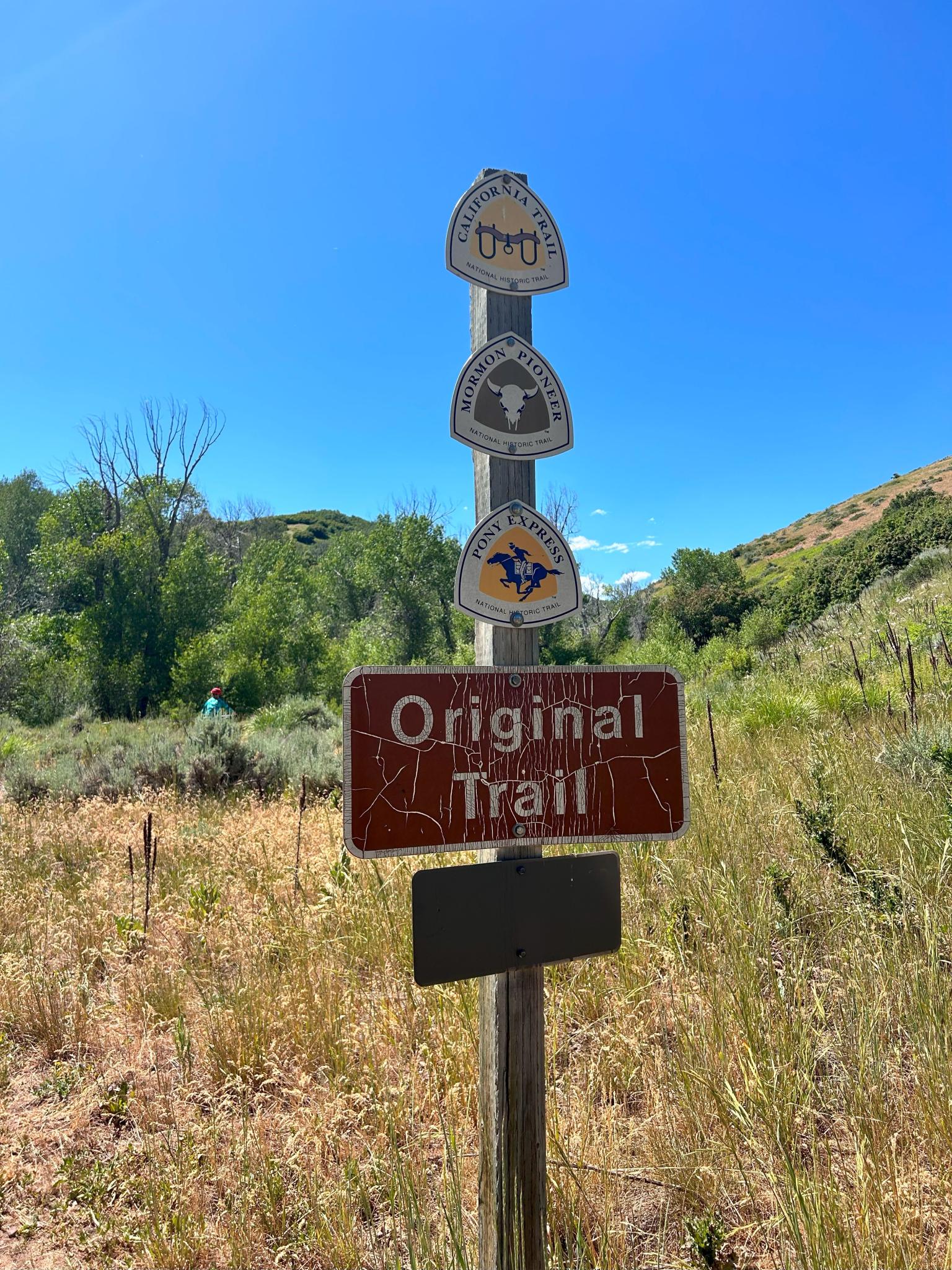 Mormon Flat Campground Trail
